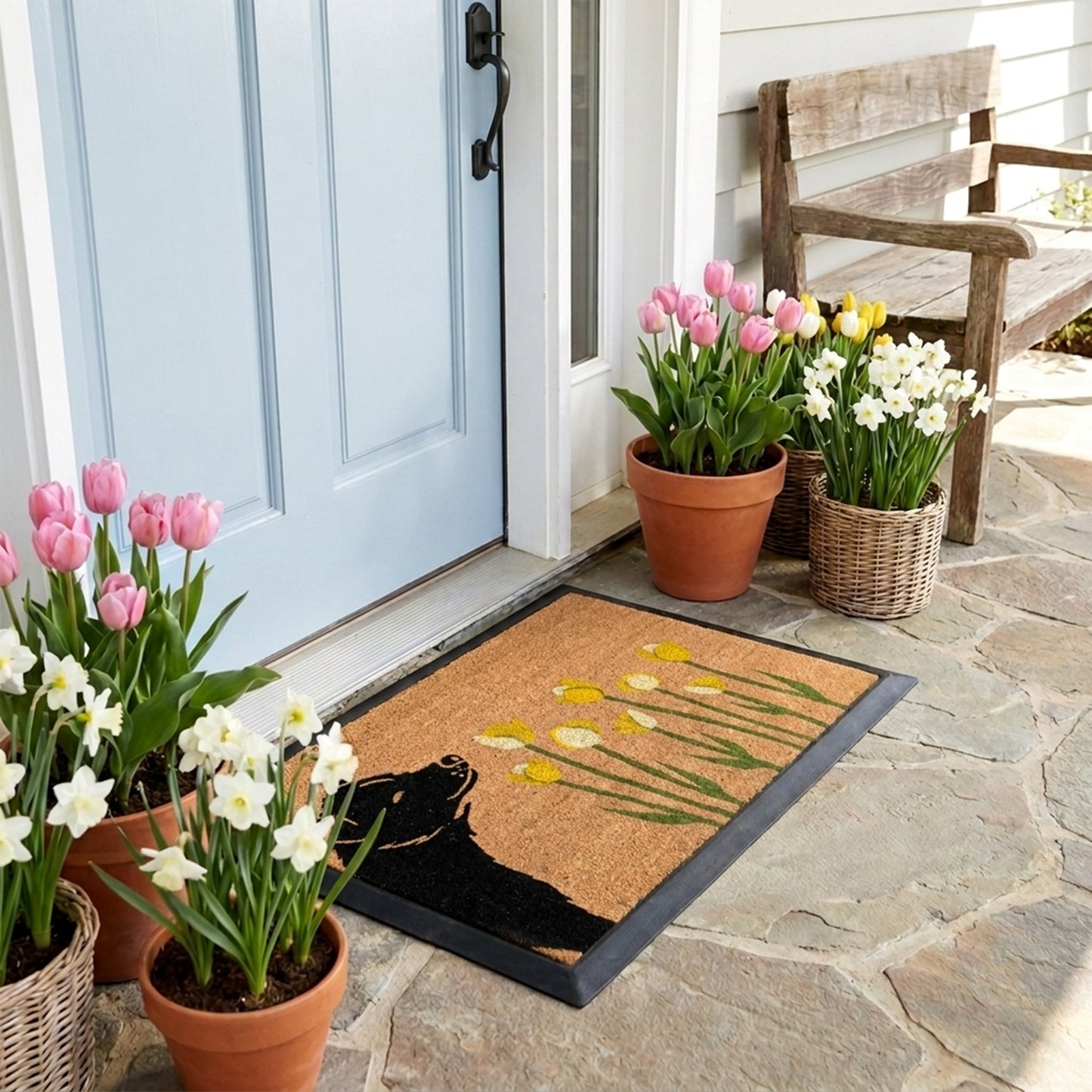 spring dog rectangular refill - 4C&D Home Furnishings