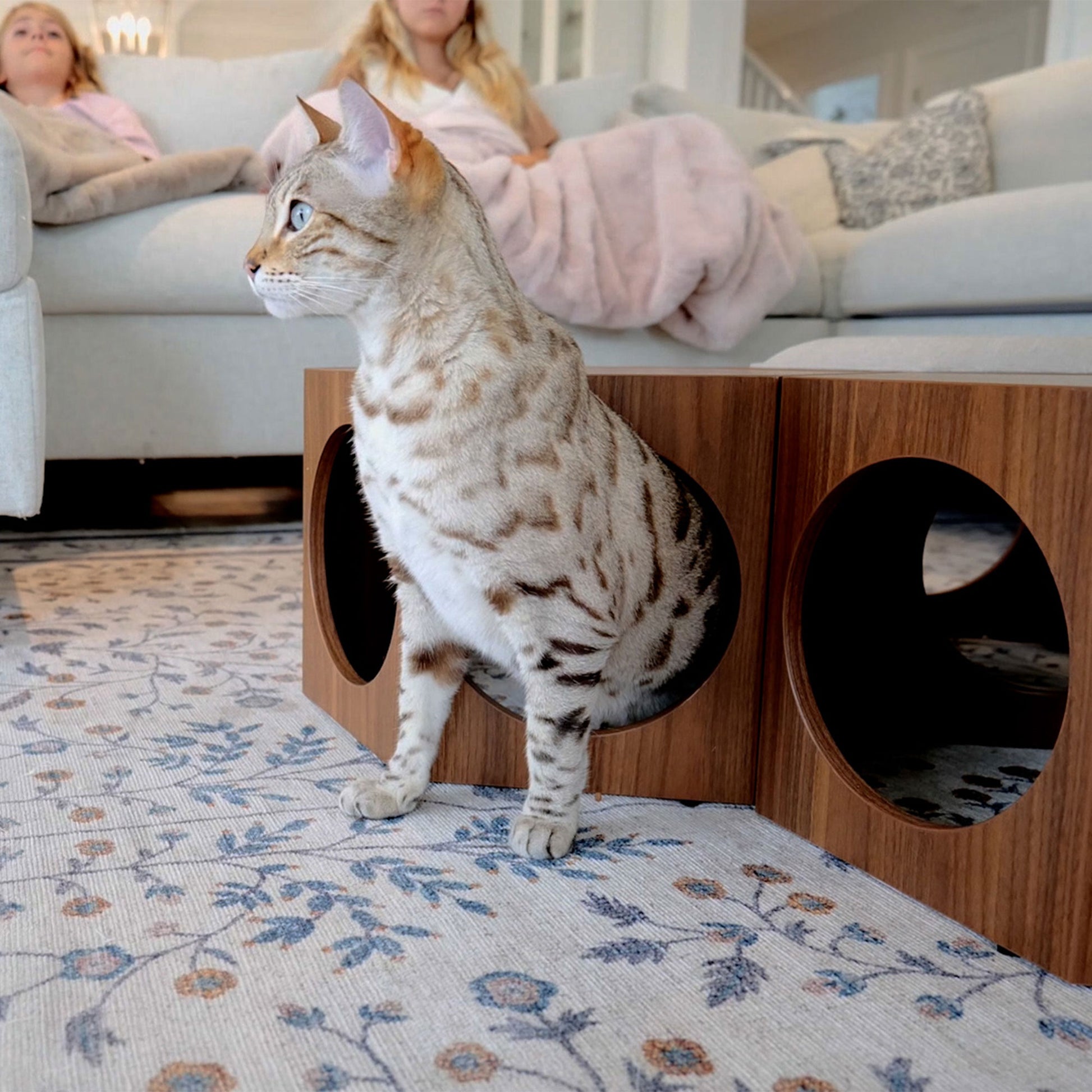 suki cat stool and shelf - 4C&D Home Furnishings