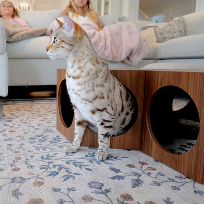 suki cat stool and shelf - 4C&D Home Furnishings