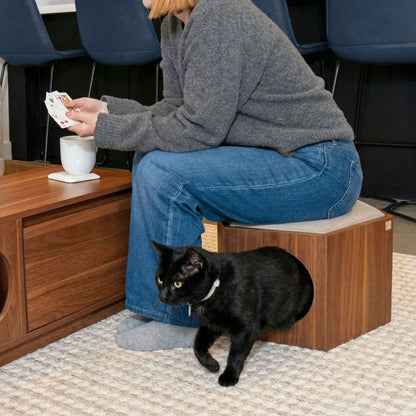 suki cat stool and shelf - 4C&D Home Furnishings