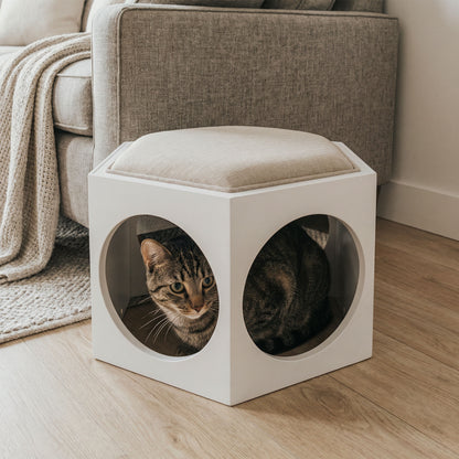 suki cat stool and shelf - 4C&D Home Furnishings