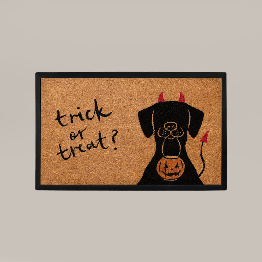 trick or treat+dog rectangular doormat set - 4C&D Home Furnishings