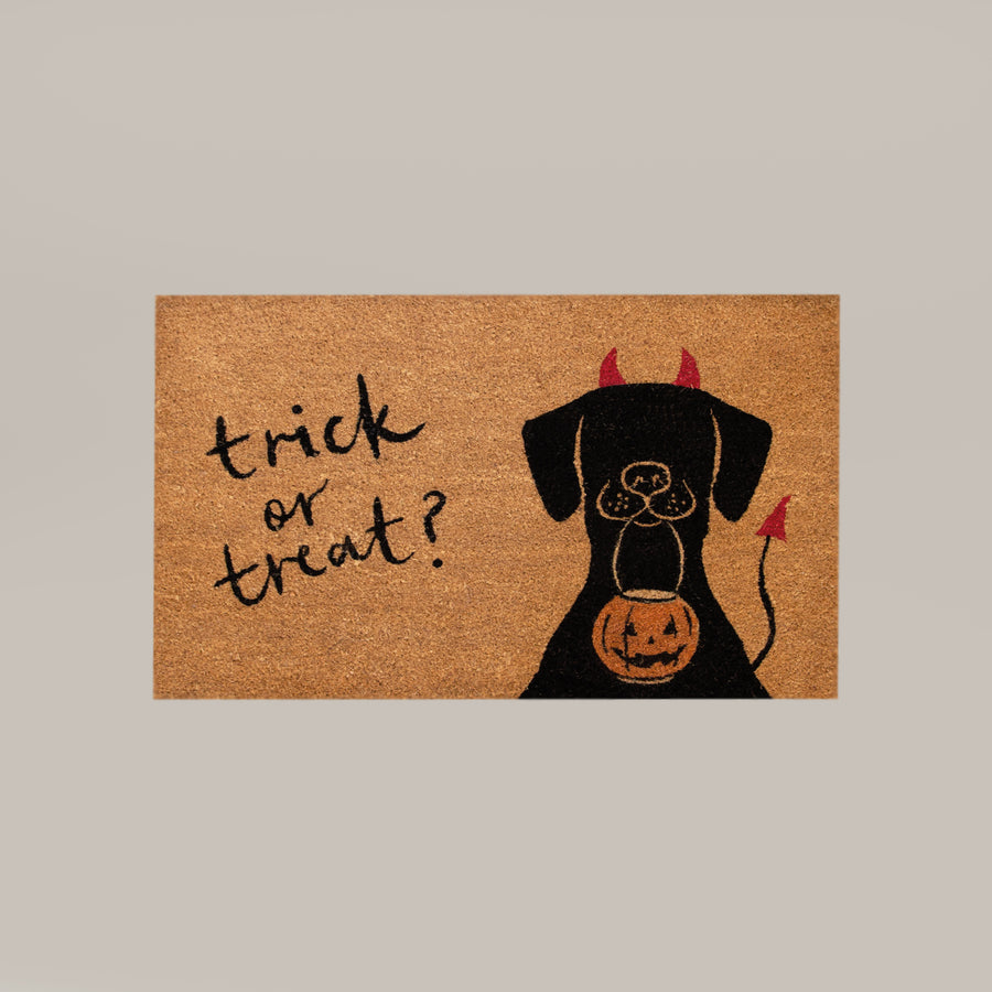 trick or treat+dog rectangular refill - 4C&D Home Furnishings