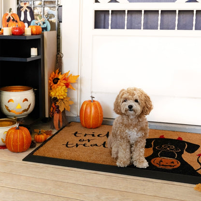 trick or treat+dog rectangular refill - 4C&D Home Furnishings