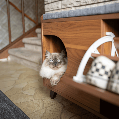 tucker shoe cabinet - 4C&D Home Furnishings