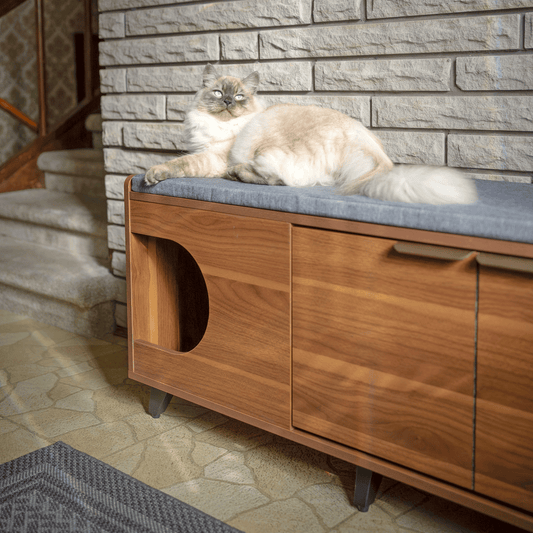 tucker shoe cabinet - 4C&D Home Furnishings