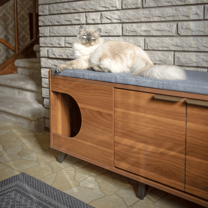 tucker shoe cabinet - 4C&D Home Furnishings