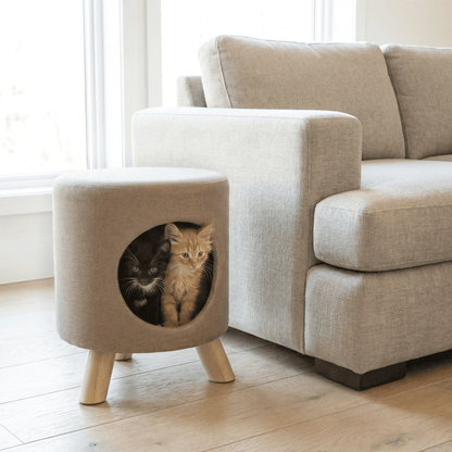 wallie pet stool - 4C&D Home Furnishings