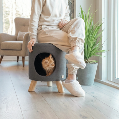 wallie pet stool - 4C&D Home Furnishings